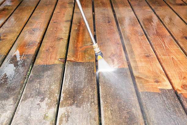 Best Sidewalk and Walkway Cleaning  in Hutchinson Island South, FL